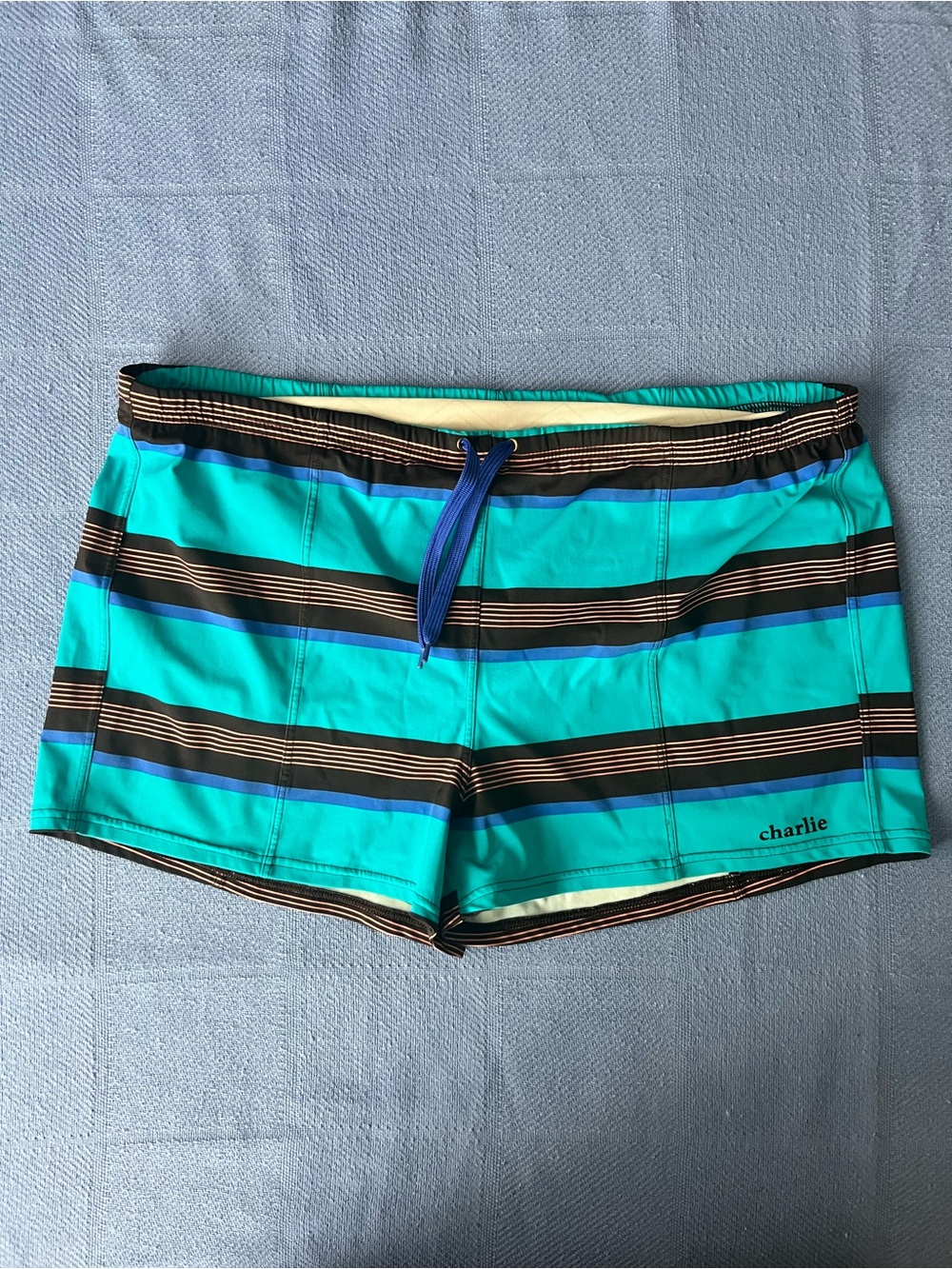 Turquoise & Black Striped Men's Swim Trunks
